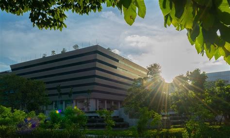 netwerk overbelasting