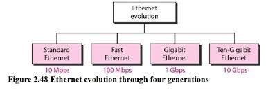 Network Standards Quizizz