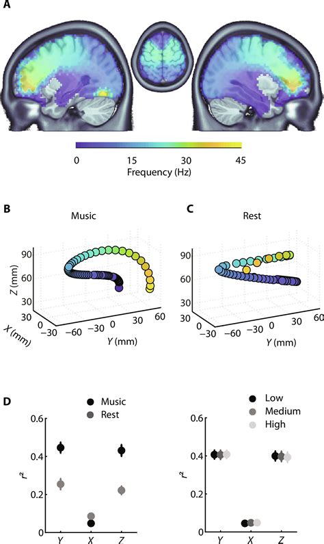 Neural Dynamics Of Predictive Timing And Motor Engagement Dance Science Experiments - Dance Science Experiments