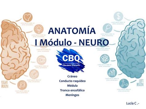 Neuro 1