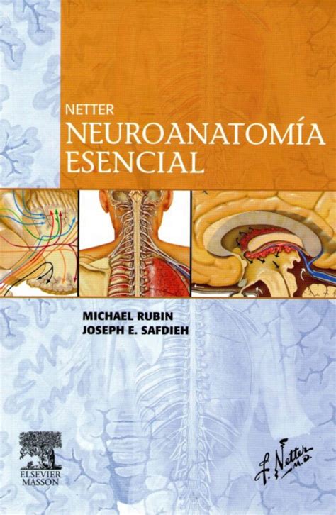 neuroanatomia netter