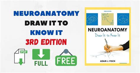 neuroanatomy draw it to know it pdf
