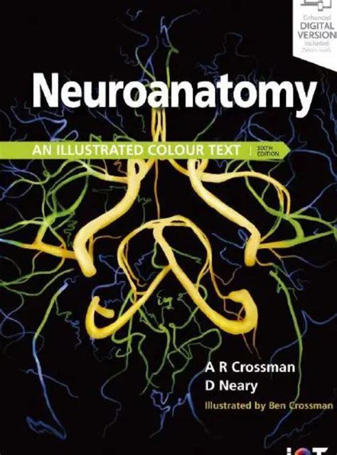 Read Online Neuroanatomy An Illustrated Colour Text Pdf 