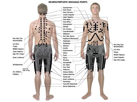 Neurolymphatic Reflex Points