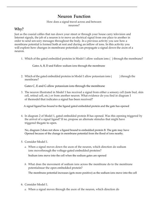 Neuron Function Pogil Answer Key Agceng
