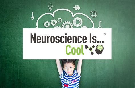 Neuroscience Is Cool Brain And Life Nervous System For 5th Grade - Nervous System For 5th Grade
