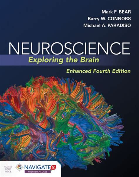 Neuroscience Simplified Exploring 4 Key Brain Science Concepts Science Keys - Science Keys