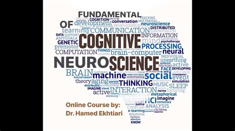 Read Online Neuroscience Based Design Fundamentals And Applications 
