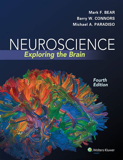 Read Online Neuroscience Exploring The Brain 