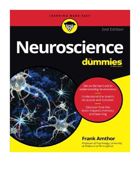 Read Neuroscience For Dummies Frank Amthor 