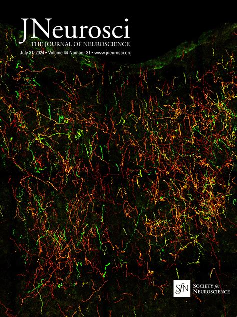 Read Online Neuroscience Journal Of 