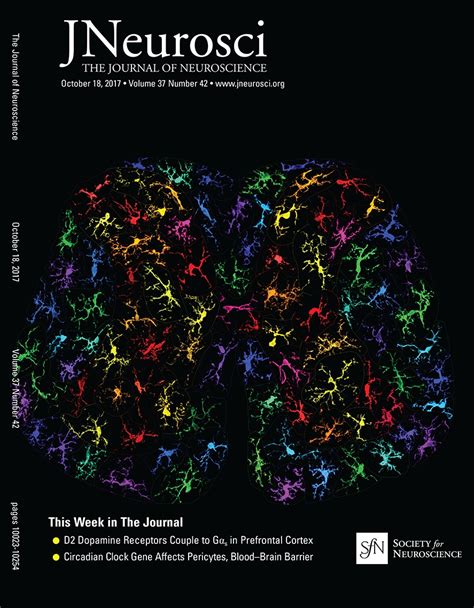 Download Neuroscience Of Decision Making Journal 