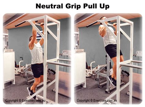 Neutral Grip Pull Up