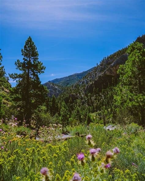 nevada india