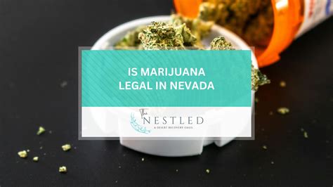 nevada marijuana