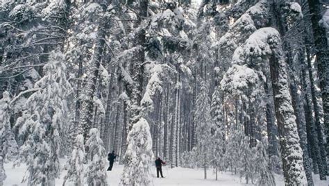 Full Download Neve Nera Versante Est 