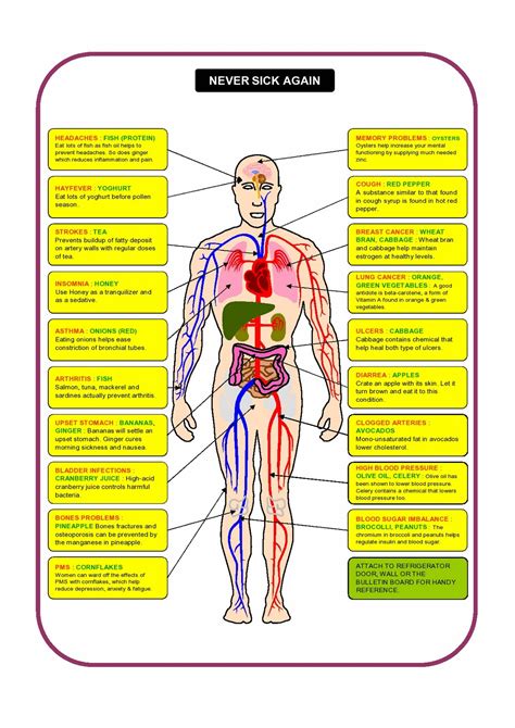 Never Be Sick Again