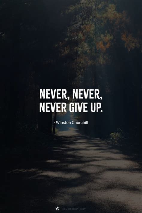 Never Give Up Quote