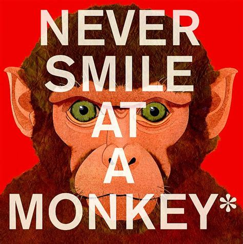 Download Never Smile At A Monkey 