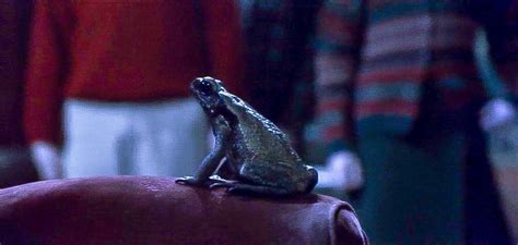 Neville S Toad
