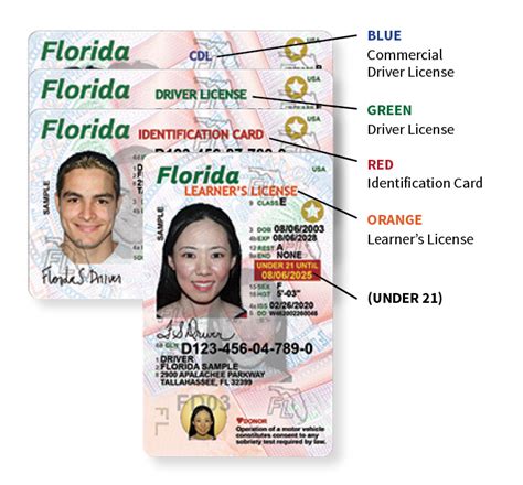 new dl florida