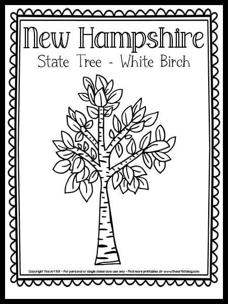 New Hampshire State Tree Coloring Page The Art New Hampshire Coloring Page - New Hampshire Coloring Page