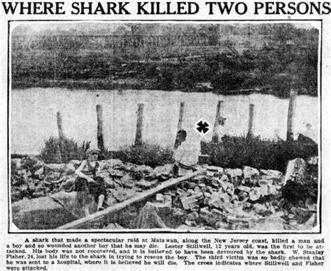 new jersey shark attacks