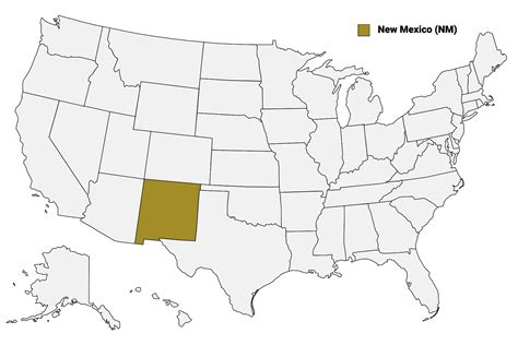 new mexico for dummies