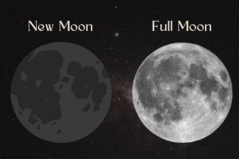 new moon biography