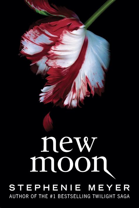 New Moon Book