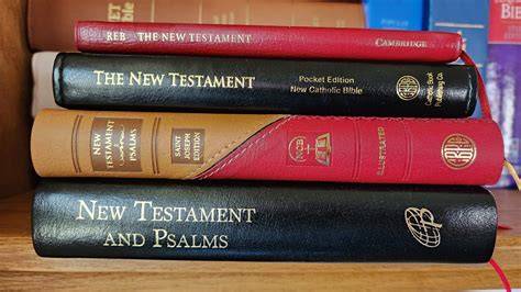new testament bible reb