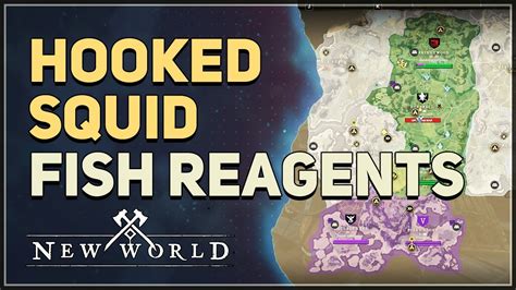 new world hooked squid