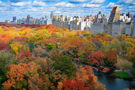 new york fall