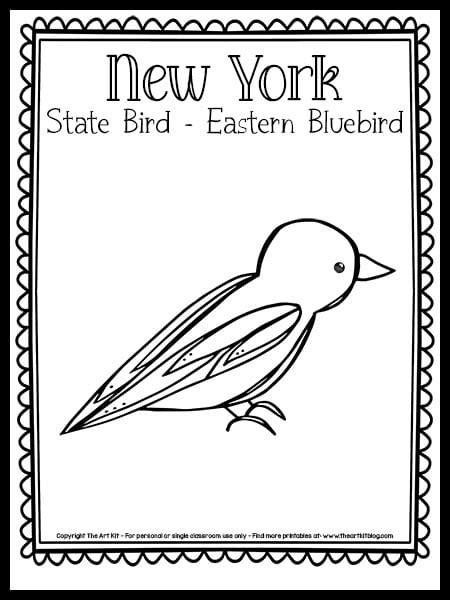 New York State Bird Bluebird Coloring Page State New York State Bird Coloring Page - New York State Bird Coloring Page