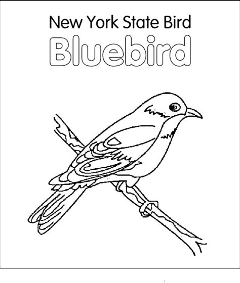 New York State Bird Coloring Page   What Is The State Bird Of New York - New York State Bird Coloring Page