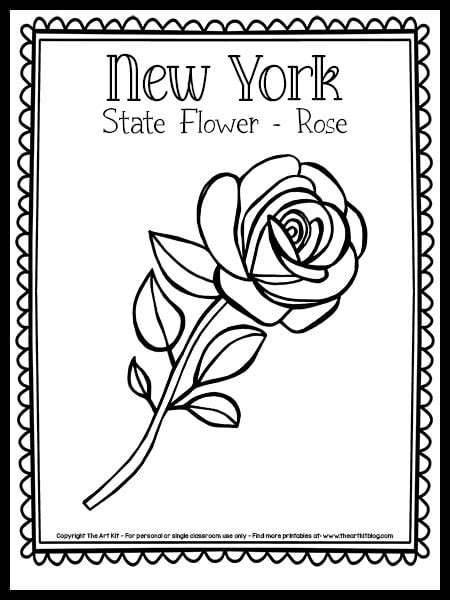 New York State Flower Rose Coloring Page State New York State Flower Coloring Page - New York State Flower Coloring Page
