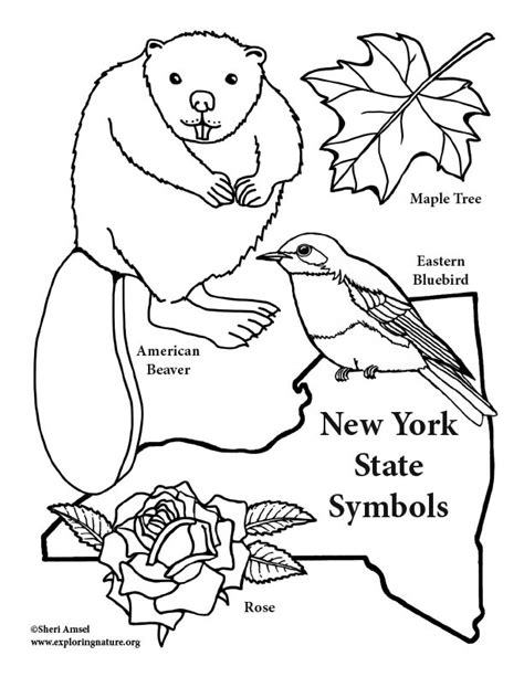 New York State Symbols Coloring Page New York State Flag Coloring Pages - New York State Flag Coloring Pages