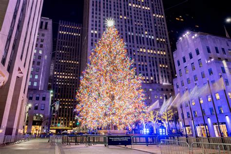 new york tree
