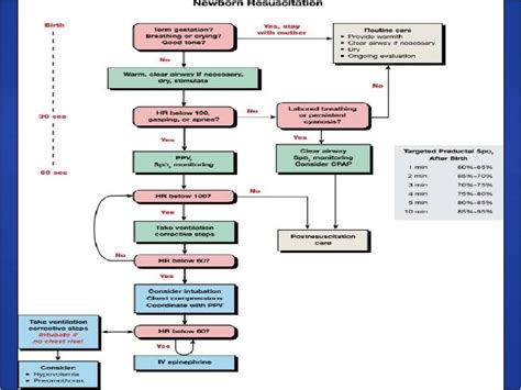 Full Download New Nrp Guidelines 2011 