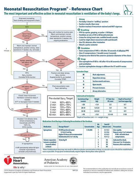 Full Download New Nrp Guidelines 2011 Algorithm 