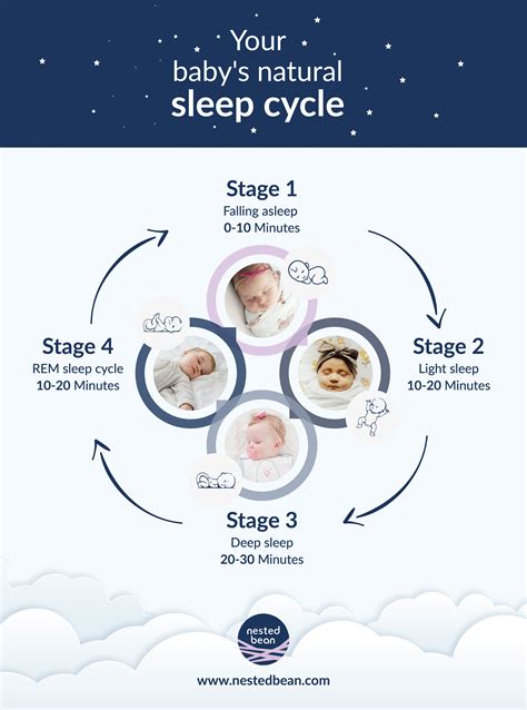 Newborn Sleep Cycles The Science Explained Baby Deedee Cycle Science - Cycle Science