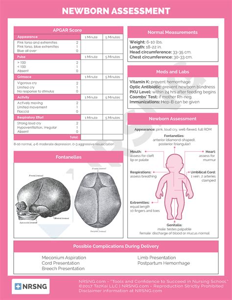 Download Newborn Physical Assessment Documentation 