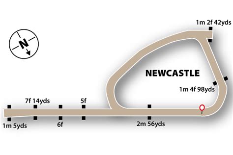 newcastle races tomorrow