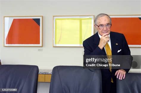 newton minow sidley austin