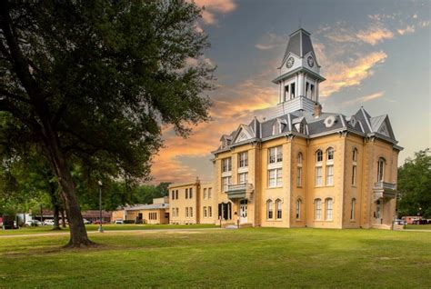newton texas