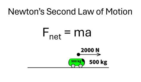 Newton Weight Formula