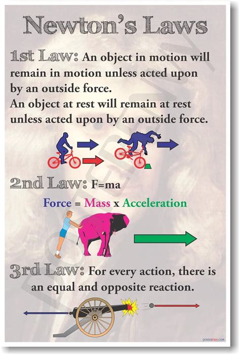 Newtons Laws Packet The Physics Classroom Which Law Is It Worksheet - Which Law Is It Worksheet