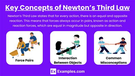 Read Newtons 3Rd Law Answer Key 