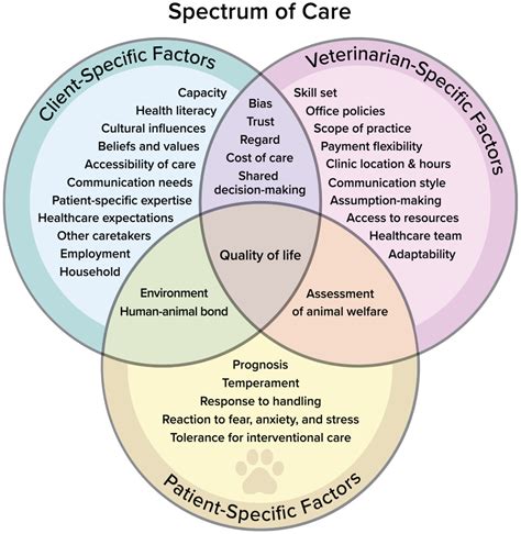 next care spectrum