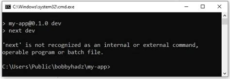 next is not recognized as an internal command